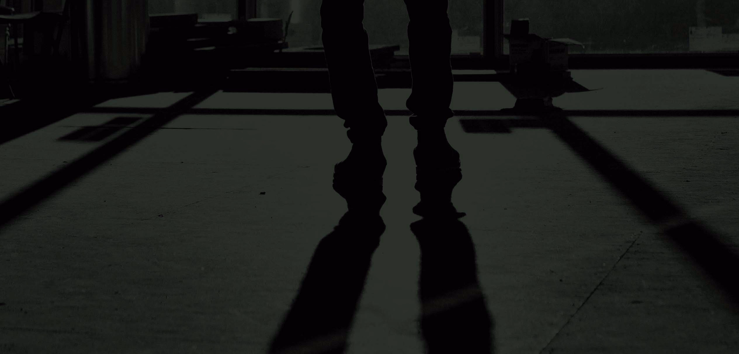 VIUS Header
